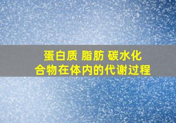 蛋白质 脂肪 碳水化合物在体内的代谢过程